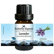 Lavender (Lavandula officinalis) Essential Oil 10ml - 100% Pure - by Butterfly Express