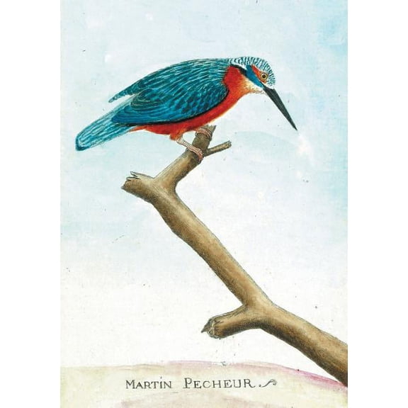 Bnf Animaux: Carnet Ligné Martin Pêcheur, Dessin 18e Siècle (Paperback)