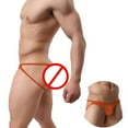 thumbnail image 3 of Men Underwear Gay Thong Man Briefs, 3 of 5