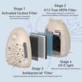 thumbnail image 6 of Pure Enrichment PureBaby Kids Bear Air Medium-Large Rooms True HEPA Air Purifier, Sweet Oat, 6 of 8