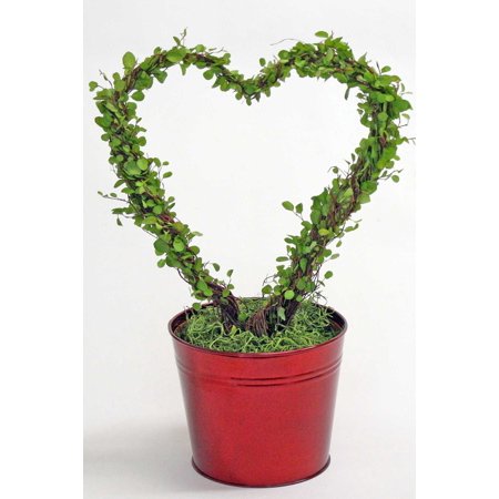 Angel Vine Heart, Red Tin, 6.5