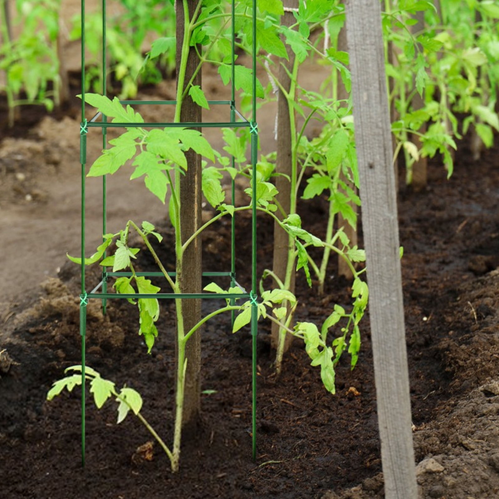 Tomato Support Cage with Plastic Coated Steel Pipes, Climbing Plant Trellis for Vegetable Gardens, Orchids, and Eggplant A#030 Green