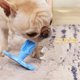 thumbnail image 2 of Cuidado dental cepillo de dientes para perros juguetes para masticar - cepillo de dientes para cachorros de raza pequeña y mediana (color azul), 2 of 5