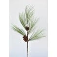 thumbnail image 4 of Long Needle Pine Spray, 4 of 13