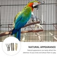 thumbnail image 3 of 5Pcs Bird Wood Perch Parrot Perch Bird Standing Rod Parrot Paw Grinding Stick Parrot Stand Perch Toy, 3 of 7
