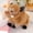 Brown, variant on Coffee 9.8 Inch Coffee Simulation Wild Boar Plush Toy With Long Teeth Soft Stuffed Animal For Kids