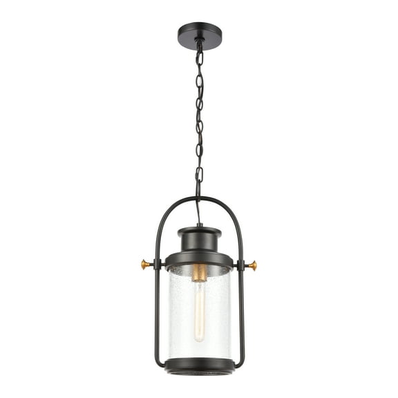 Elk Home 12-Inch Wide Wexford Hanging, Transitional, Matte Black