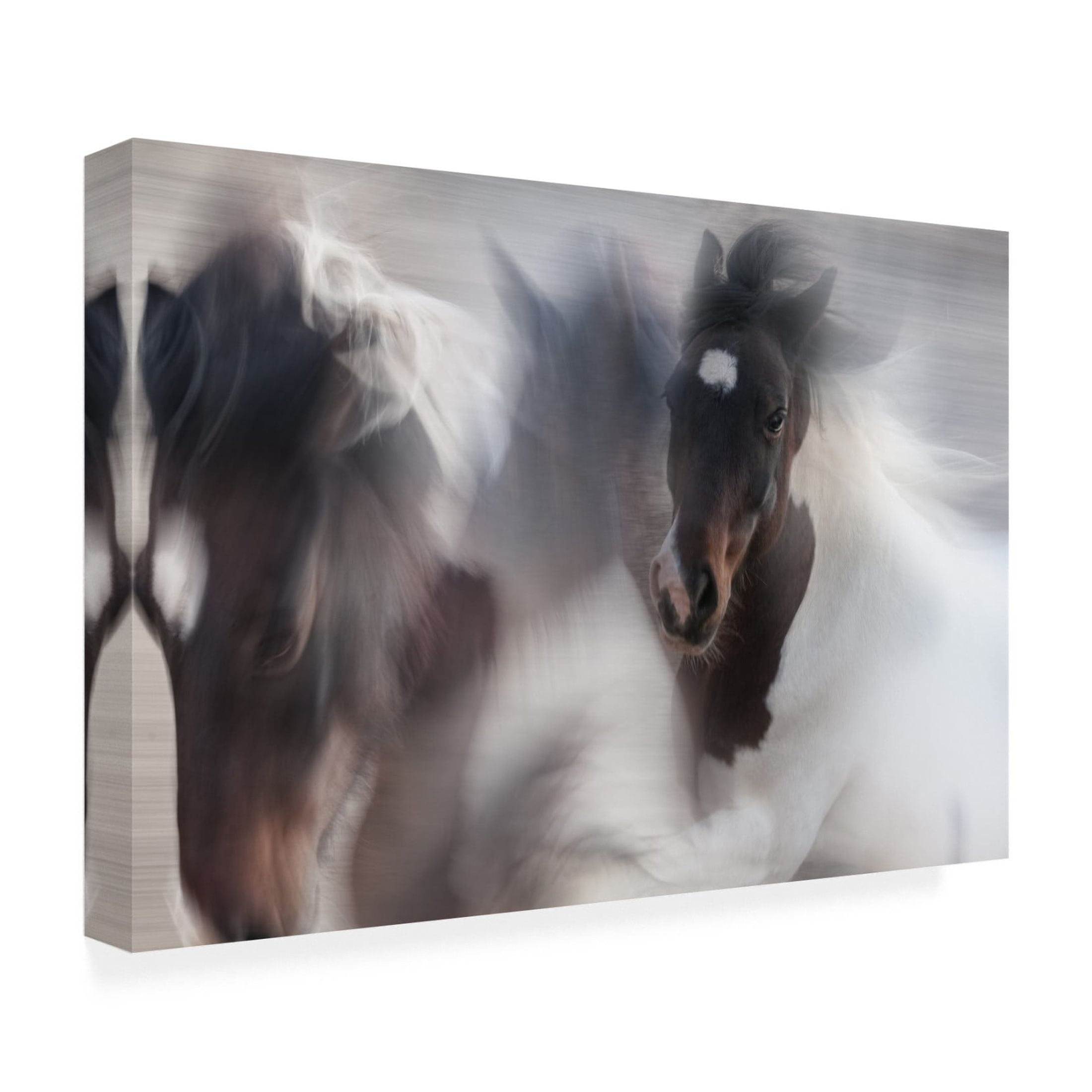 Canvas Wall Art - Martine Benezech 'Runaway Horse' Wall Art for Living Room, Bedroom, or Office Décor by Trademark Fine Art - 32 x 22 Inches