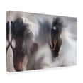 thumbnail image 2 of Canvas Wall Art - Martine Benezech 'Runaway Horse' Wall Art for Living Room, Bedroom, or Office Décor by Trademark Fine Art - 32 x 22 Inches, 2 of 4