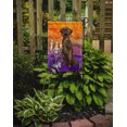 thumbnail image 2 of Carolines Treasures CK3199GF Hallween Chocolate Labrador Retriever Garden Size Flag, 2 of 3