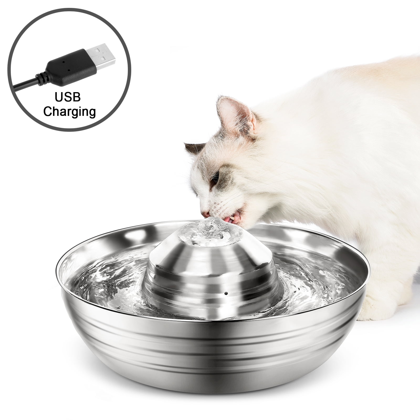 Best Cat Fountains 2025 Gina Ashleigh