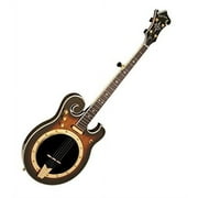 Gold Tone 5-String Electric Banjo w/ Hard Case