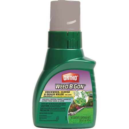 Ortho Weed B Gon Chickweed, Clover & Oxalis Killer for Lawns Concentrate, 16 (Best Herbicide For Clover)