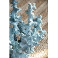 thumbnail image 5 of CC Home Furnishings Nautical Style Coral Sculpture Decoration - 10.5" - Blue, 5 of 9