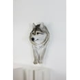 thumbnail image 1 of Wolf Head Sculpture Wall Hanging Ornament, 1 of 5