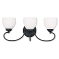 thumbnail image 2 of Livex Lighting Brookside Bath Light in Black, 2 of 2