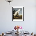 thumbnail image 4 of Snowy Heron or White Egret  Snowy Egret, Animals Framed Art Print Wall Art by John James Audubon Sold by Art.Com, 4 of 6