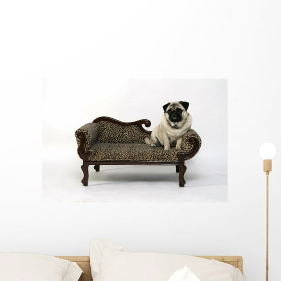 Thick Pug Dogs Sofa Wall Mural by Wallmonkeys Peel and Stick Graphic (24 in W x 17 in H) WM239426