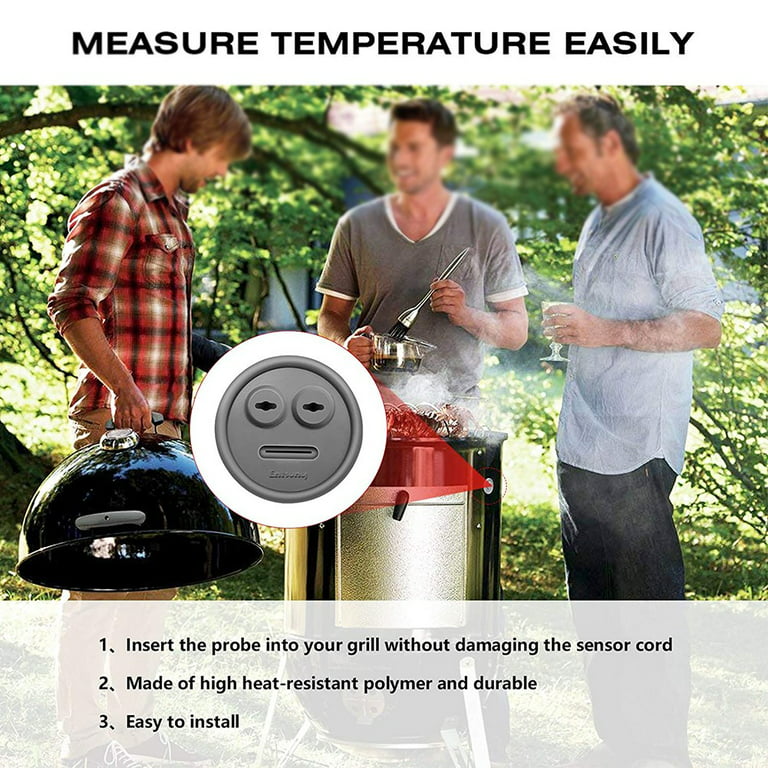 New Weber iGrill Temperature Probe - The DIY Life