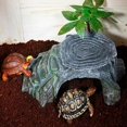 thumbnail image 2 of Turtle Sanctuary Terrarium Land Cave Reptile Ramp Platform Sanctuary Decoration Humidification Cave Rock, 2 of 5