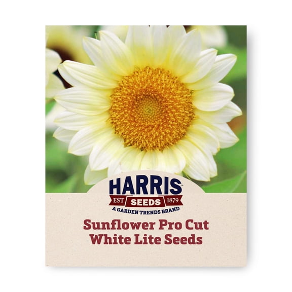 Harris Seeds Sunflower Pro Cut White Lite F1, Non-GMO Hybrid, 50 Count