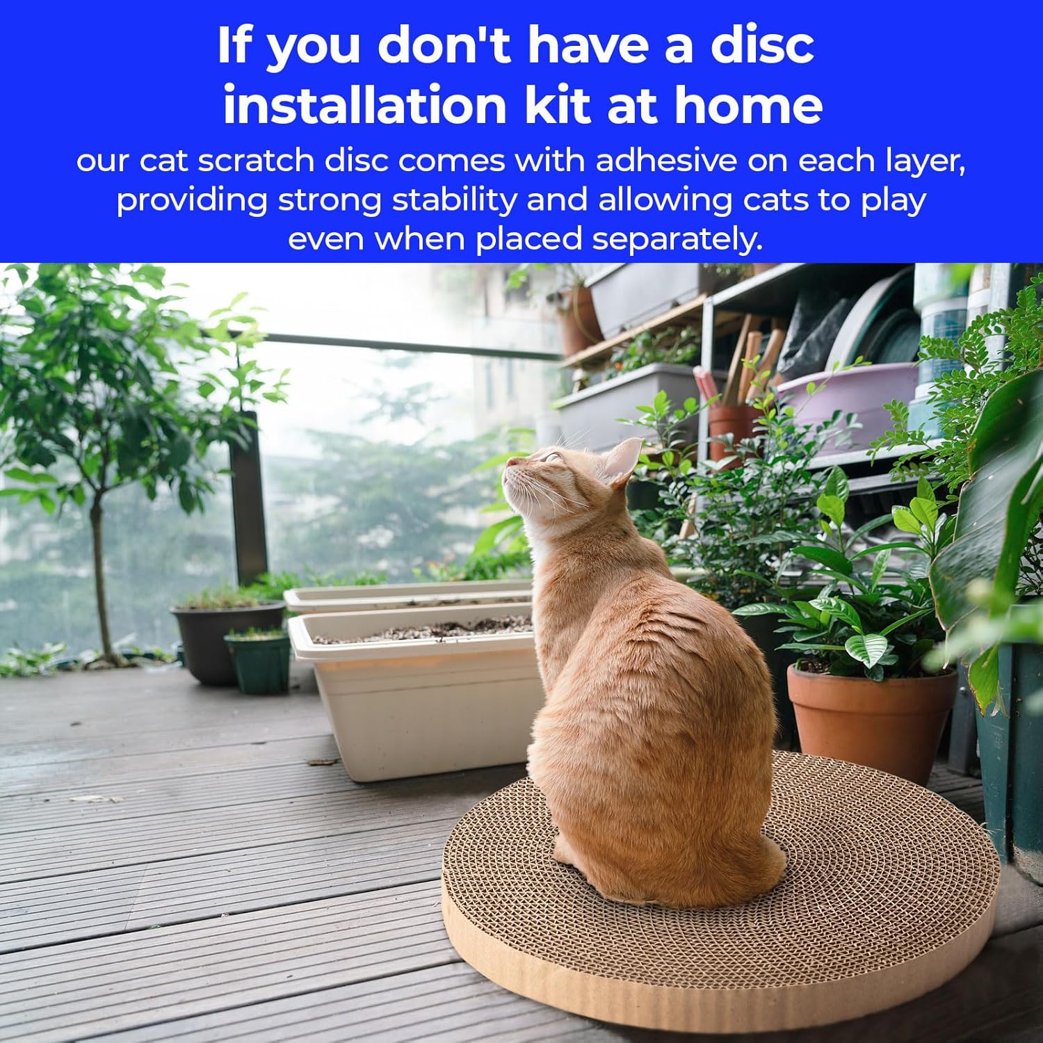 JOPOY Reversible Cardboard Cat Scratching Pad Pair photo 6