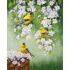 thumbnail image 1 of Cuadros Decorativos Bird on Branch Oil Paint By Numbers DIY Acrylic Painting Home Decoration Gifts Ehuebsd Nuevos Originales, 1 of 7