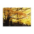 thumbnail image 2 of Gango Home Decor Boughs of Gold 3 by Alan Hausenflock (Printed on Paper); One 36x24in Fine Art Paper Giclee Print, 2 of 4