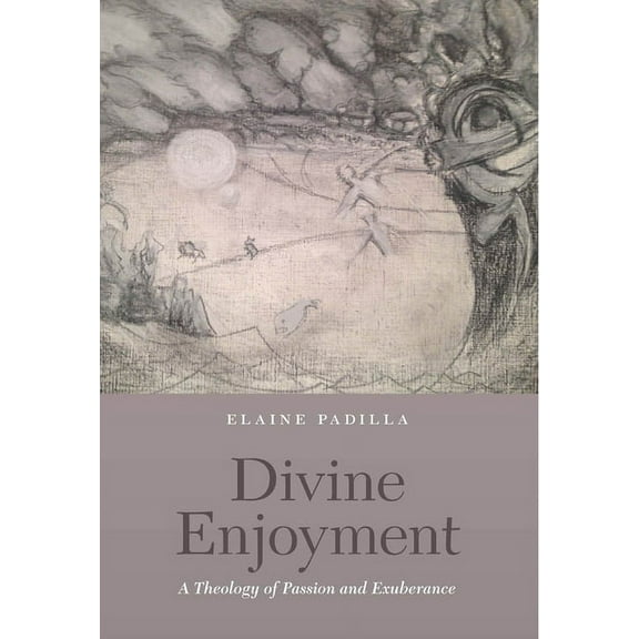 Divine Enjoyment: A Theology of Passion and Exuberance (Paperback)