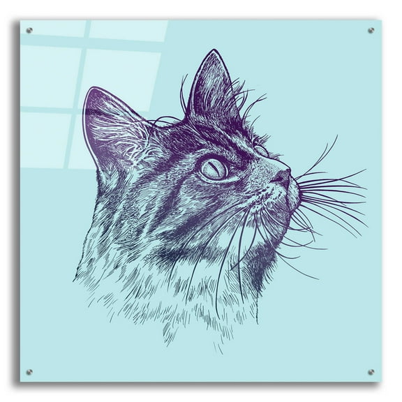 Epic Art 'Cat Looking Up' by Rachel Caldwell, Acrylic Glass Wall Art, 36"x36"