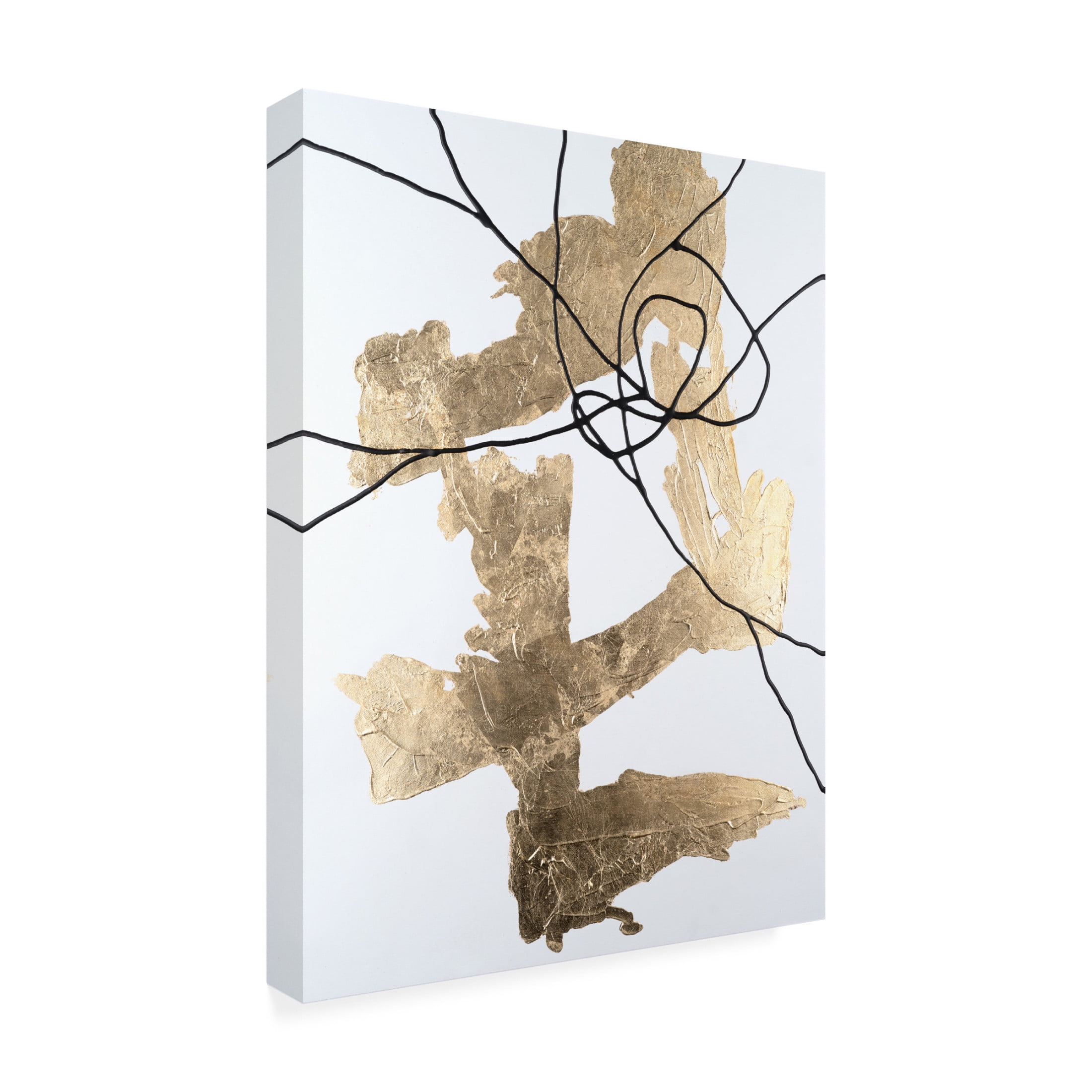 Trademark Fine Art Michael Willett Gold Vein II Canvas Wall Art