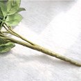 thumbnail image 3 of Rosas artificiales Jasion, ramo de 10 cabezas de seda, color blanco, 3 of 7