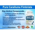 thumbnail image 5 of Caralluma Fimbriata Capsules 1200mg for Weight Loss Three 90 Ct Bottles, 5 of 11