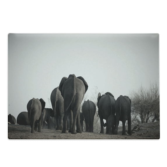 Animal Cutting Board, Image of Herd ofWalking the River Tropical Wildlife Art Safari Theme, Decorative Tempered Glass Cutting and Serving Board, Large Size, Grey, by Ambesonne