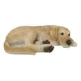 thumbnail image 5 of Large Realistic Sleeping Yellow Labrador Retriever Statue 21"H Golden Retriever, 5 of 10