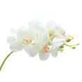 thumbnail image 2 of Zeus 1Pc Artificial Flower Butterfly Orchid Desktop Decor Faux Silk Flower Parties Decorative Simulation Plant for Home, 2 of 7