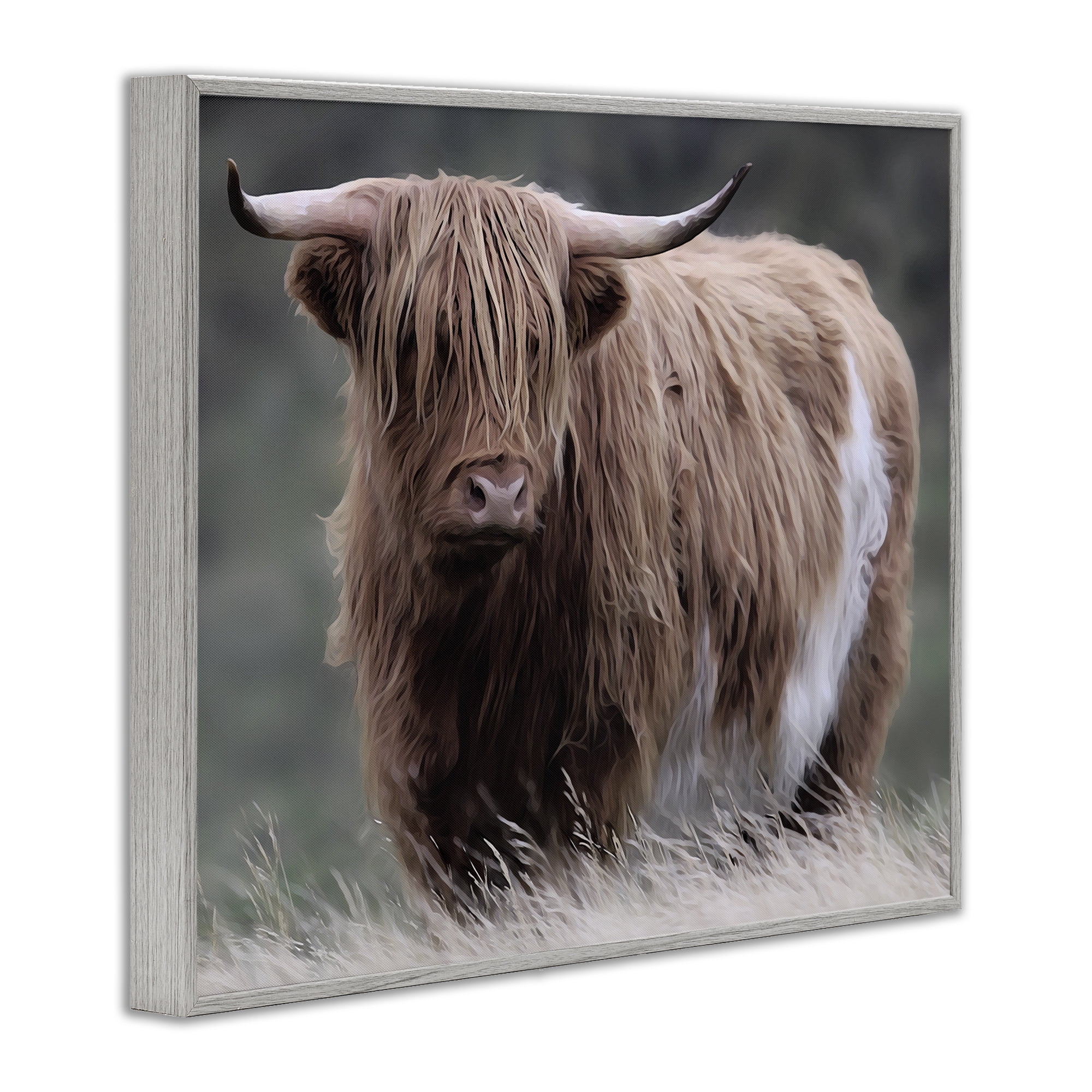 Stupell Industries Wandering Harry Highland Cattle Gray Framed Giclee Art, design by Marcus Prime
