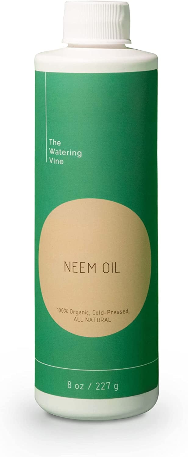 The Watering Vine Organic Neem Oil Plant Spray and Leaf Polish (8 oz)