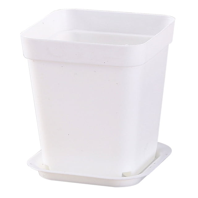 Zhuge 10 piezas con bandeja de plástico engrosado, maceta cuadrada para plantas suculentas, maceta rectangular blanca para plántulas, maceta para plantas suculentas, 7 * 7 cm