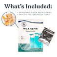 Cultures for Health Milk Kefir Grains DIY Frothy Dairy NonGMO