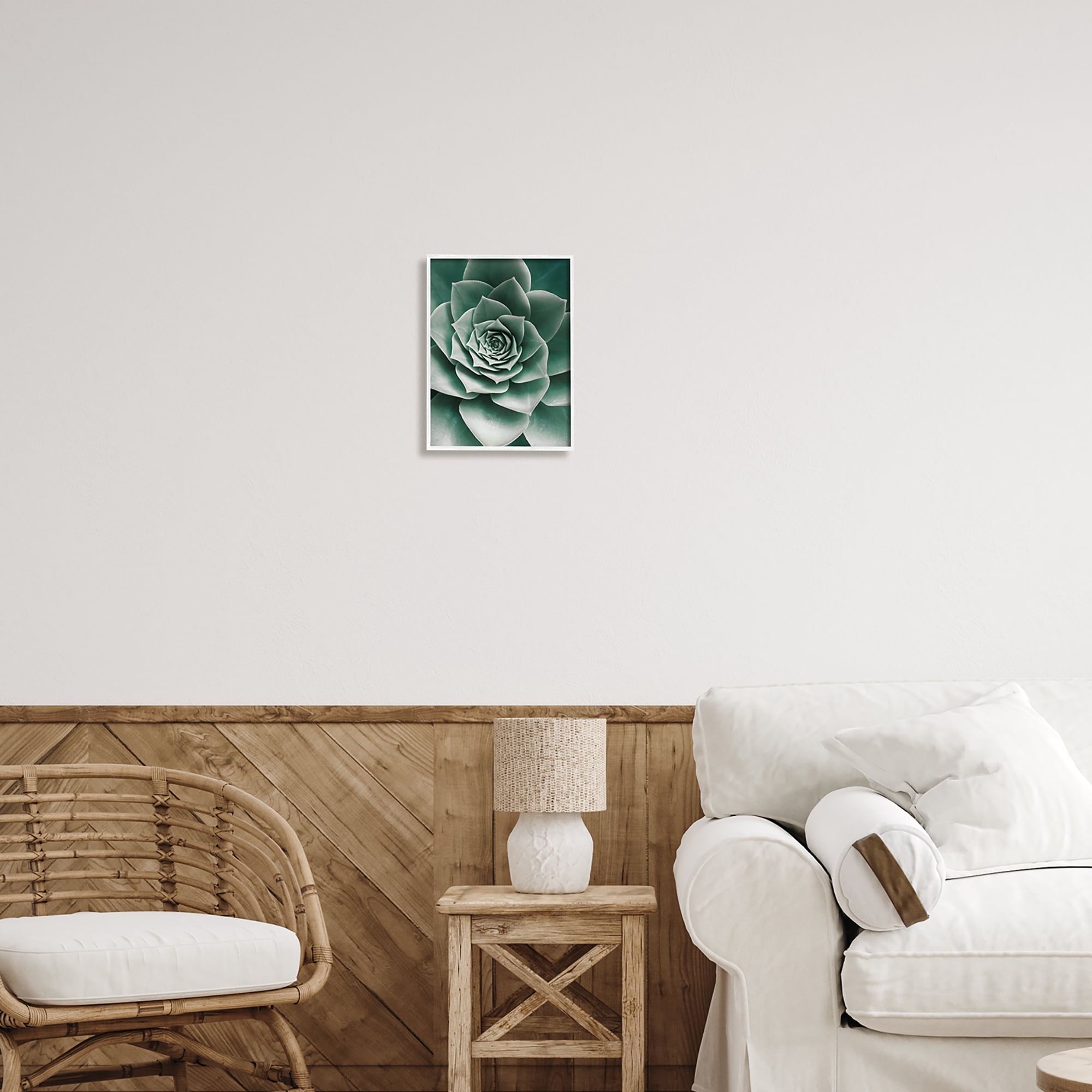 Stupell Industries Green Succulent Photography Botanical & Floral Photography White Framed Art Print Wall Art, 11 x 14