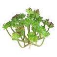 thumbnail image 2 of Gwong Decoración hogareña 1 unid Plastic Fake Artificial Succulents Plant Bonsai Garden Home Office Decor Gwong 21033224, 2 of 7