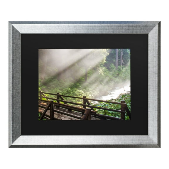 Trademark Fine Art 'Forest Sunlight' Canvas Art by Pierre Leclerc