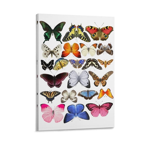 Colourful Butterfly Posters Art Print Wall Photo Paint Poster Hanging Picture Family Bedroom Decor Gift 20x30inch(50x75cm)