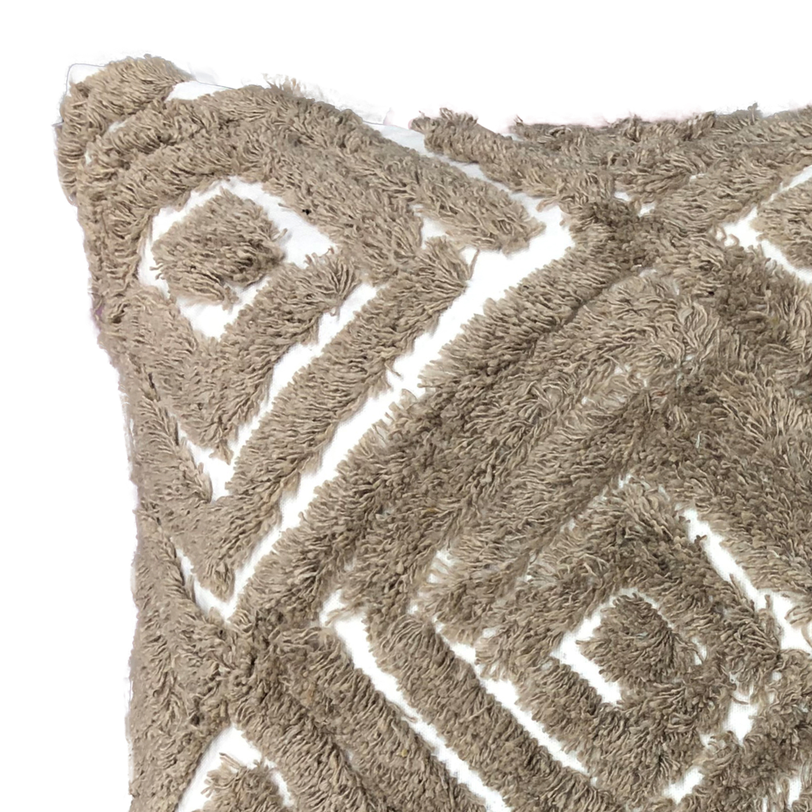 Pistoia Cotton Throw Pillow 18x18