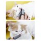 thumbnail image 2 of Juego de 2 uds de fundas para dedos para cepillado de dientes de mascotas, herramienta de limpieza de dientes para perros y gatos, cepillo de dientes para dedos de perros y gatos JAMW Sencillez, 2 of 5