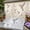 A, variant on Outdoor Fence Stencils - Plastic Nature Flower Painting Kit for Garden, Patio, and Wall Decor