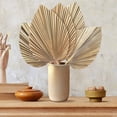 thumbnail image 2 of 5Pcs Natural Dried Palm Leaves Tropical Dried Palm Fans Boho Dry Leaves Decor for Home Kitchen Wedding, 2 of 8