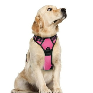 Dog leashes walmart sale