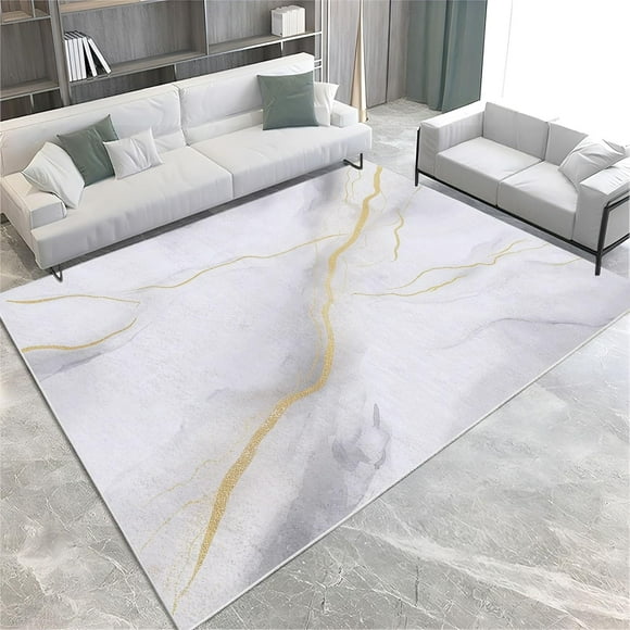 Gold Texture 4x6 Rug Marble Gray Washable Rugs Non Slip Rugs for Living Room Bedroom Modern Rug Carpet Stain Resistant Home Decor Office Dining